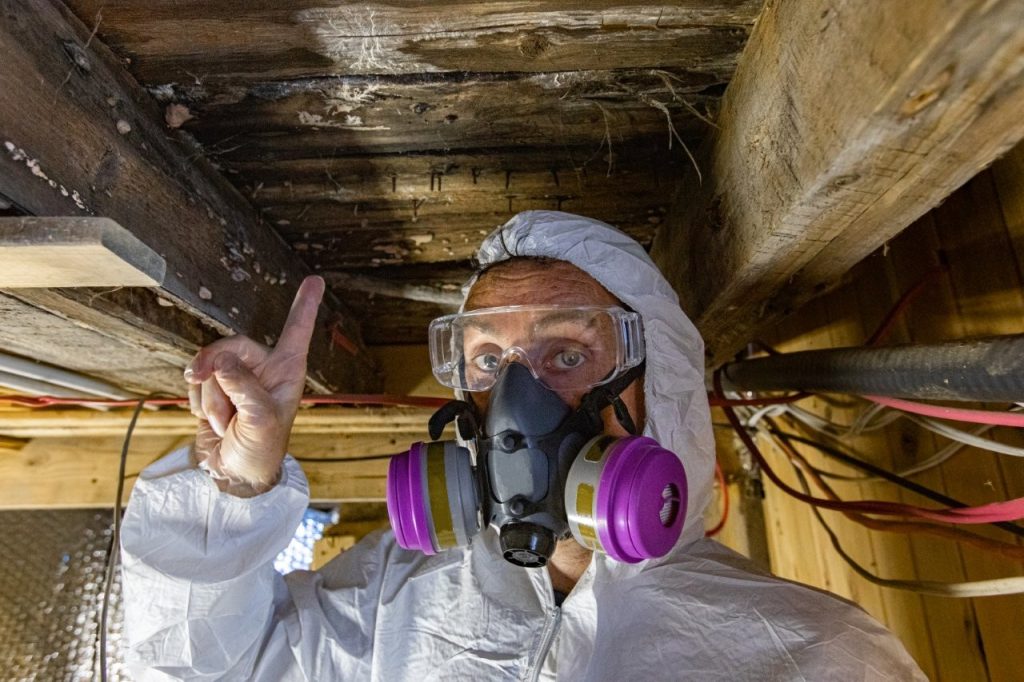 Mold Inspection Houston